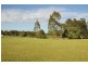 Proposed Lot 21 Pandana Close, Lawrence NSW 2460