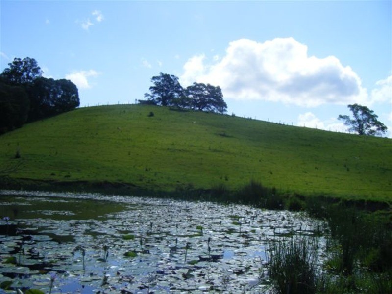 Tullymorgan NSW 2463