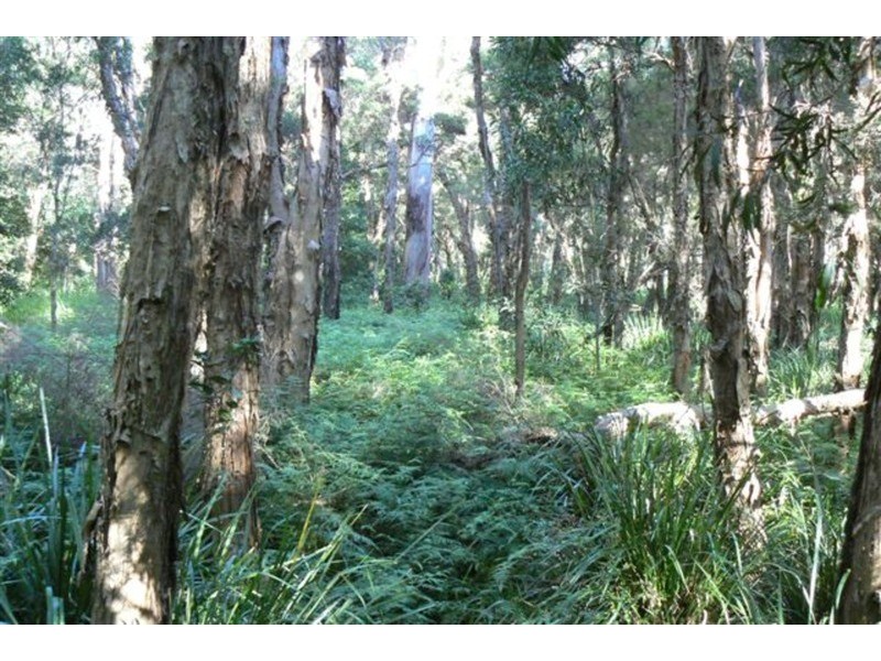 Tullymorgan NSW 2463