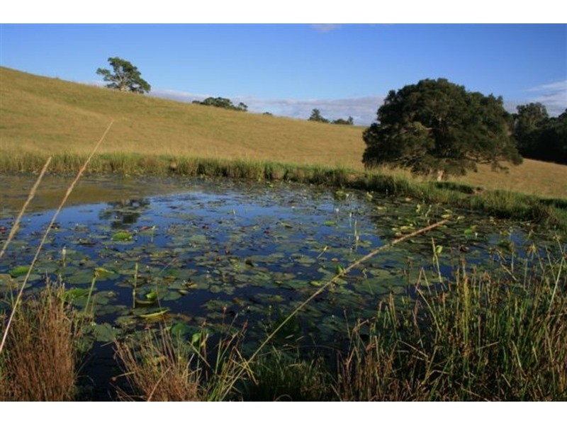 Tullymorgan NSW 2463