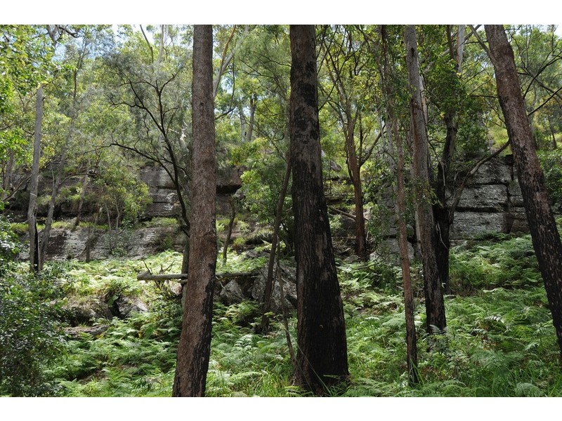 Ilarwill NSW 2463