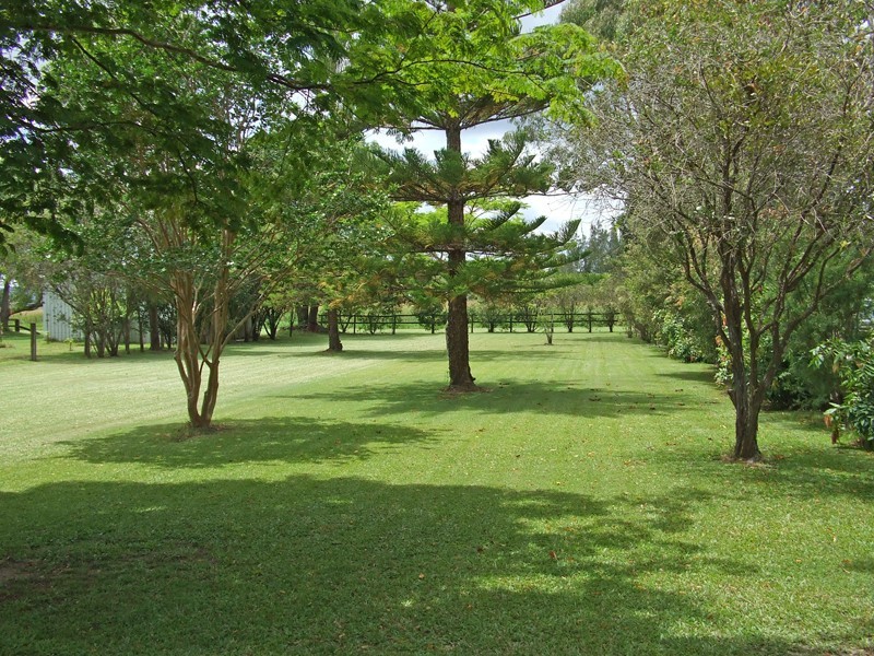 38 River Street, Brushgrove NSW 2460