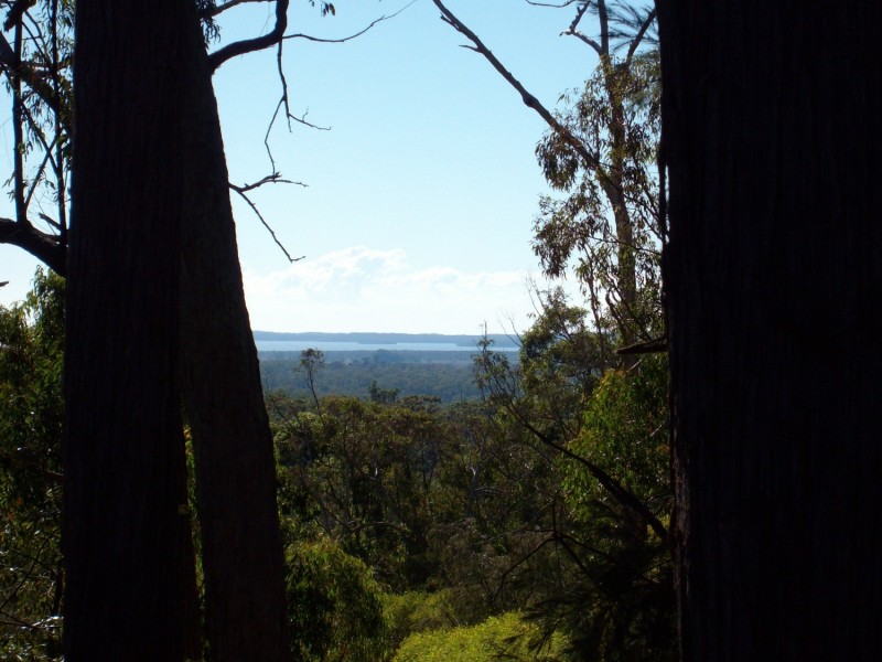 Lot 132 Wallaby Lane, Gulmarrad NSW 2463