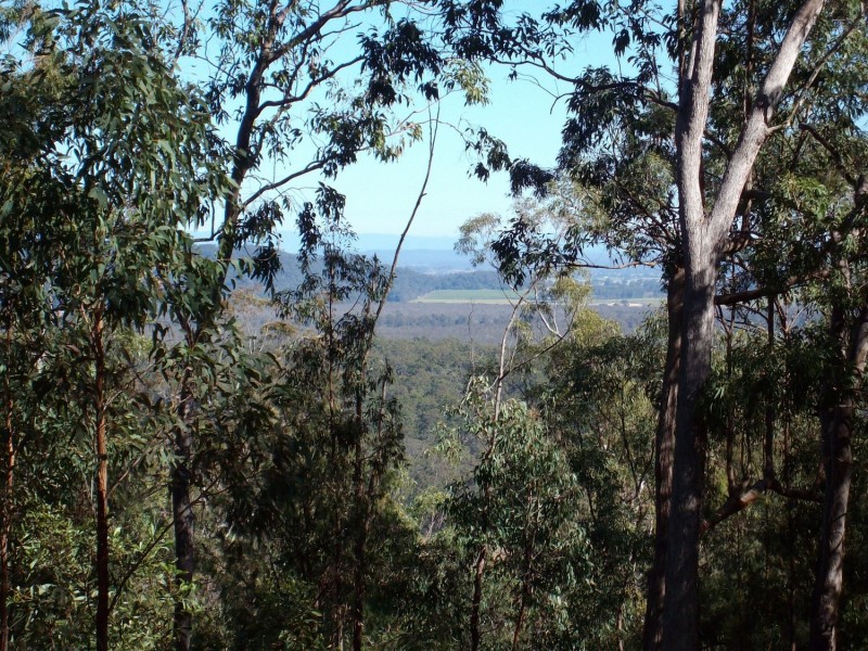 Lot 132 Wallaby Lane, Gulmarrad NSW 2463