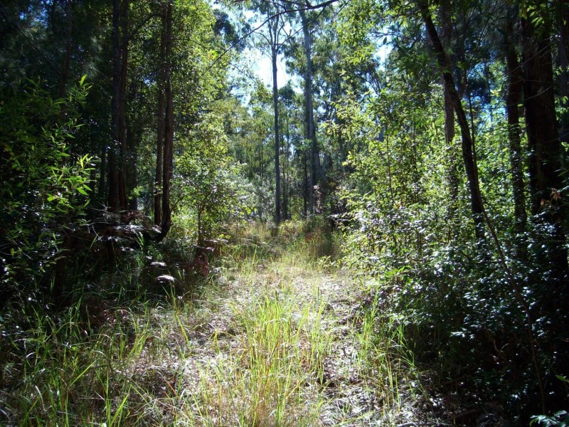 Lot 132 Wallaby Lane, Gulmarrad NSW 2463