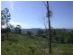 Lots 3,5,6 & 8 Wharf Street, Maclean NSW 2463