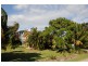 699 Northbank Road, Palmers Island NSW 2463