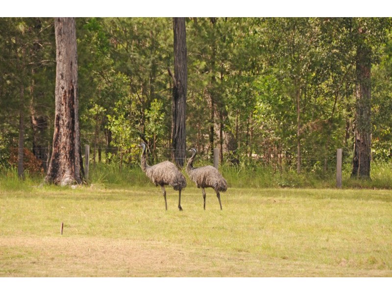 Lot 58 Mahogany Drive, Gulmarrad NSW 2463