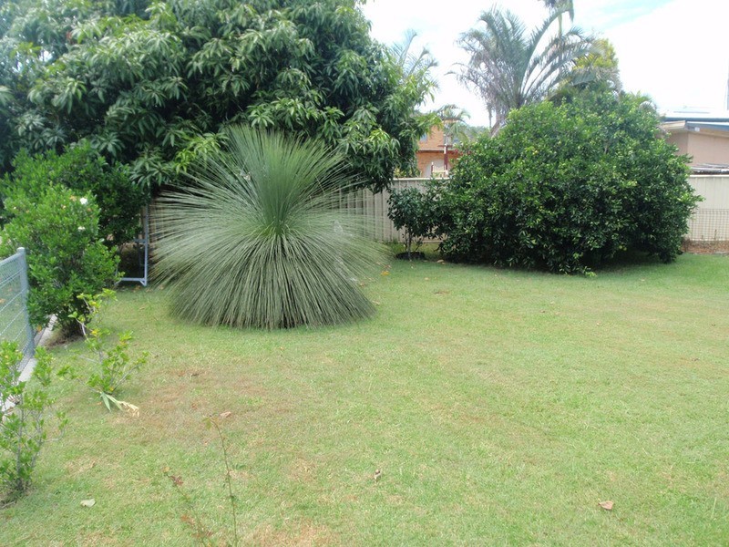 Maclean NSW 2463
