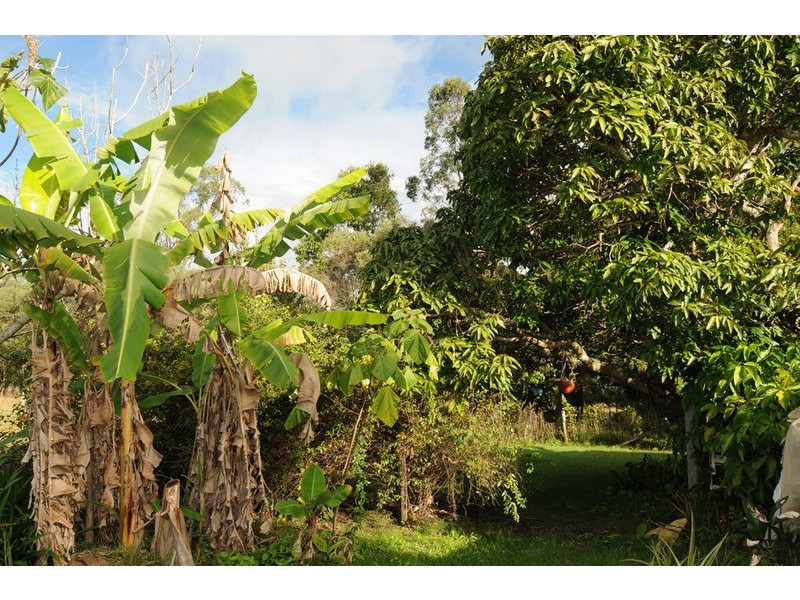 104 Wants Road, Lawrence NSW 2460