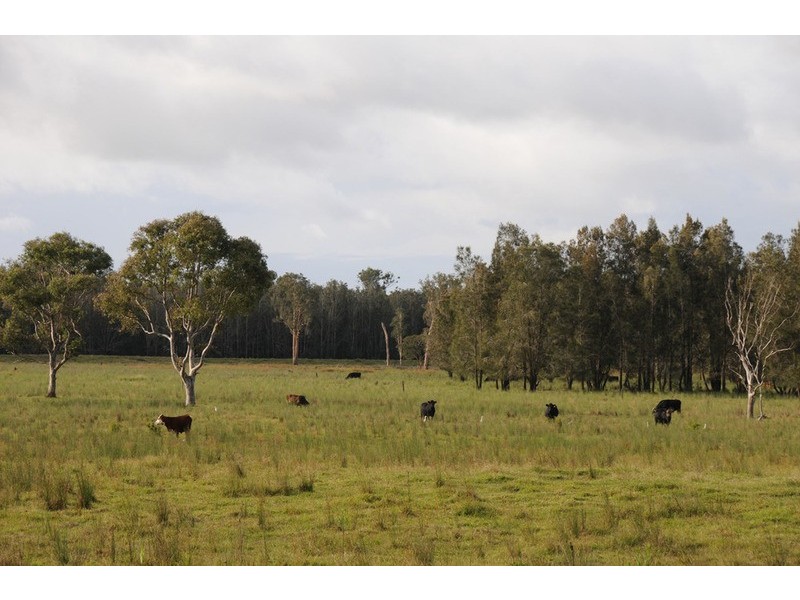 104 Wants Road, Lawrence NSW 2460