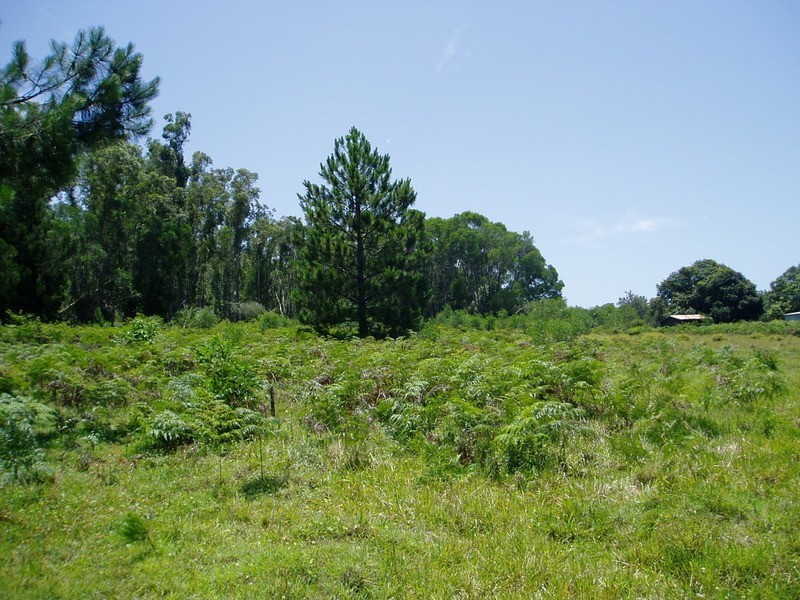 21 Jubilee Street, Townsend NSW 2463