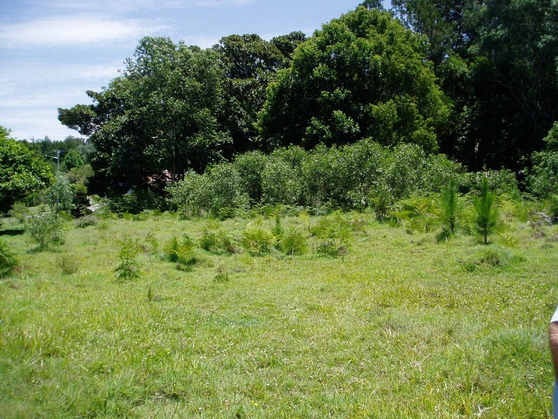 21 Jubilee Street, Townsend NSW 2463