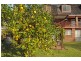 Maclean NSW 2463
