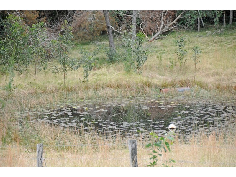 10 Ryries Road, Lawrence NSW 2460