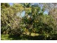 Lawrence NSW 2460