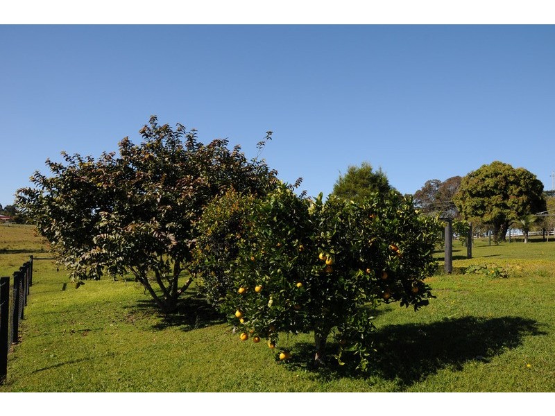 Lawrence NSW 2460