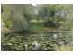 Lot 16 Old Ferry Road, Ashby NSW 2463