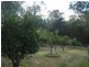 Gulmarrad NSW 2463