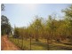 Lawrence NSW 2460