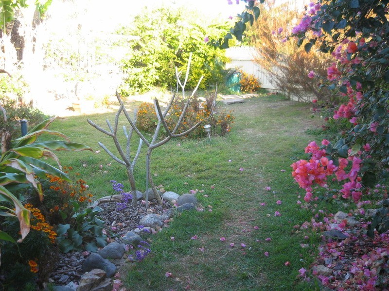 19 Church Lane, Maclean NSW 2463