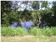 541 Shark Creek Road, Shark Creek NSW 2463
