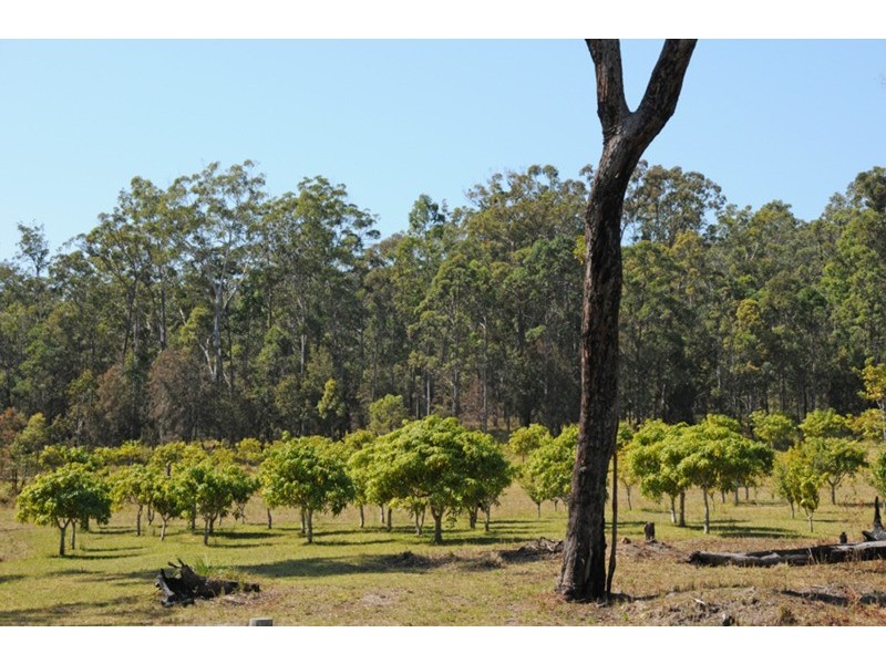 Tucabia NSW 2462