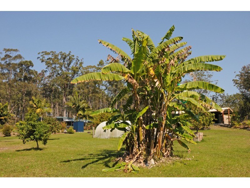 Tucabia NSW 2462