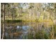 Tucabia NSW 2462