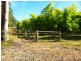 Lawrence NSW 2460