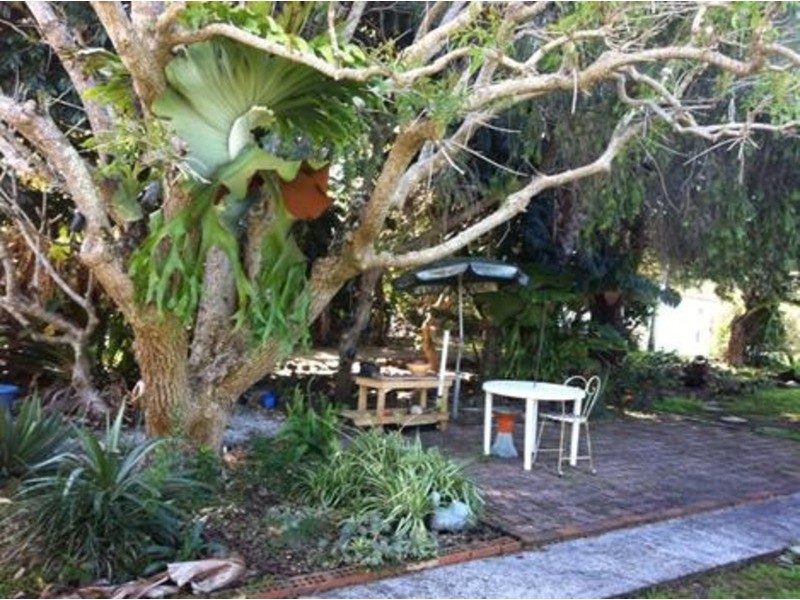 6 Wharf  Street, Woombah NSW 2469