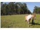 301 Tanglewood Road, Lawrence NSW 2460
