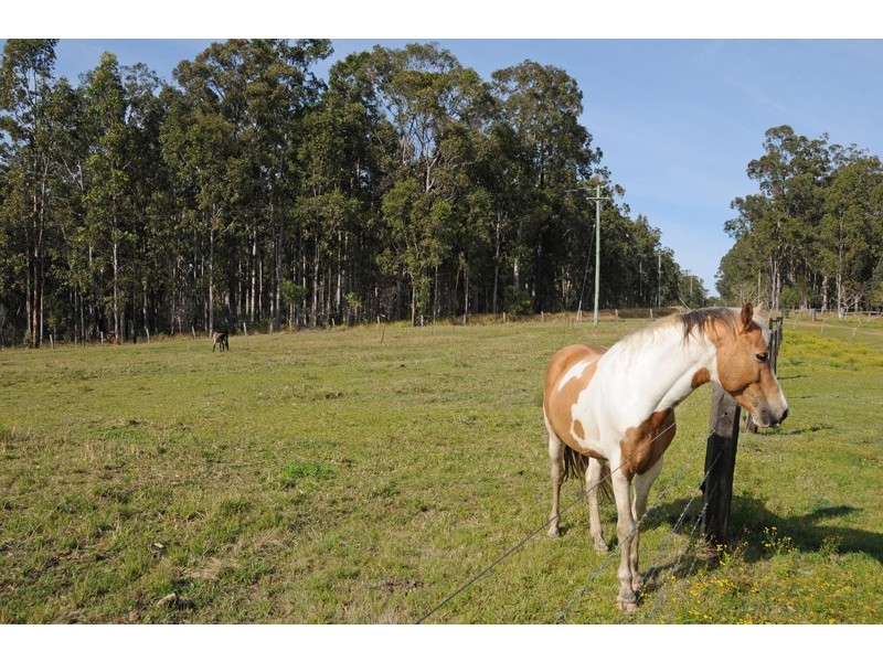 301 Tanglewood Road, Lawrence NSW 2460