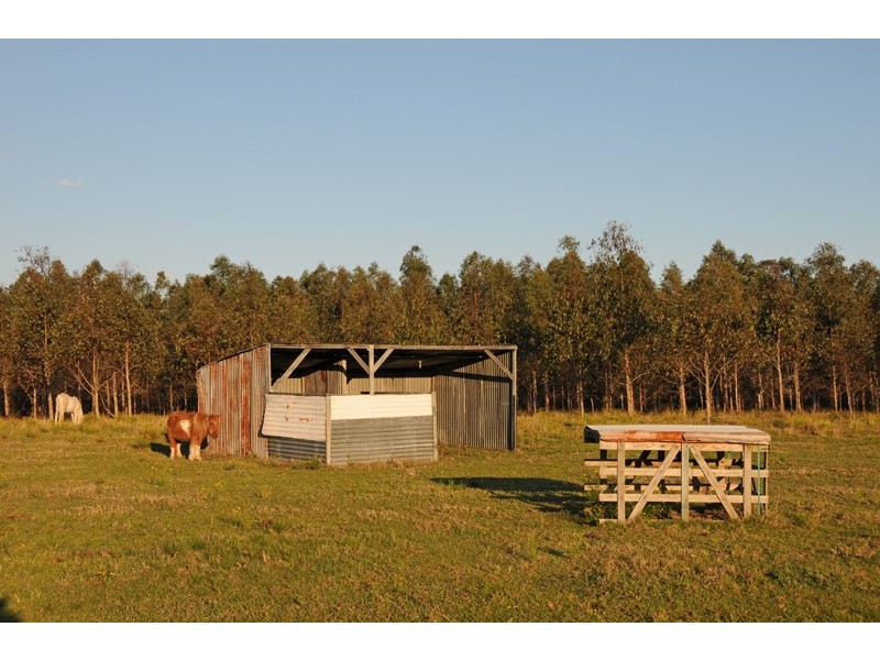 301 Tanglewood Road, Lawrence NSW 2460