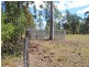 Lawrence NSW 2460