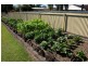 68 Havelock Street, Lawrence NSW 2460