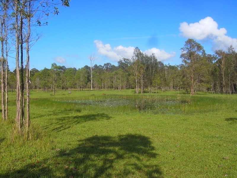 Lot 137 & 267 Wants Lane, Lawrence NSW 2460