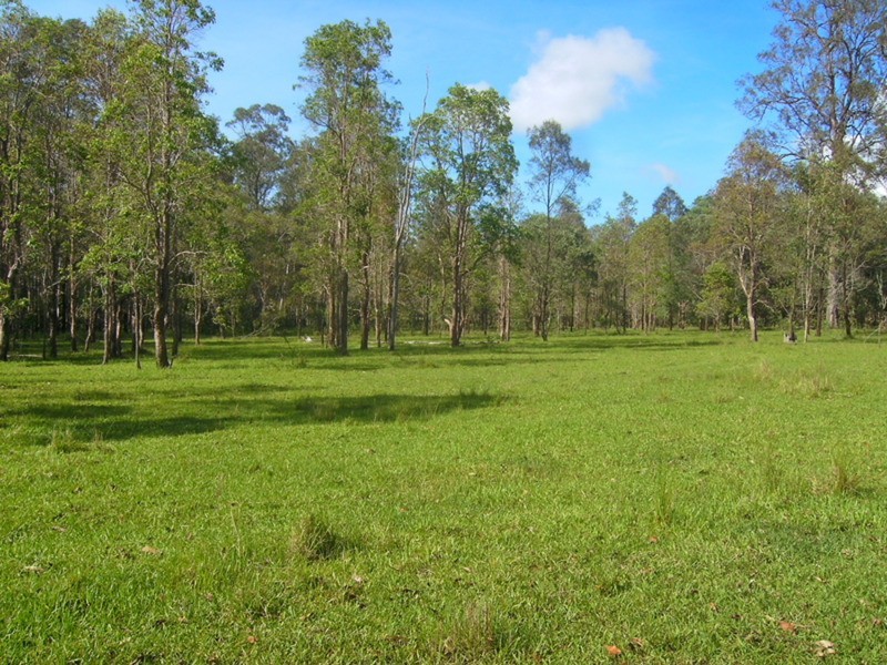 Lot 137 & 267 Wants Lane, Lawrence NSW 2460
