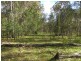 Lot 137 & 267 Wants Lane, Lawrence NSW 2460