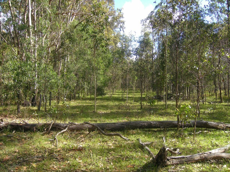 Lot 137 & 267 Wants Lane, Lawrence NSW 2460