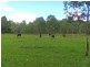 Lot 137 & 267 Wants Lane, Lawrence NSW 2460