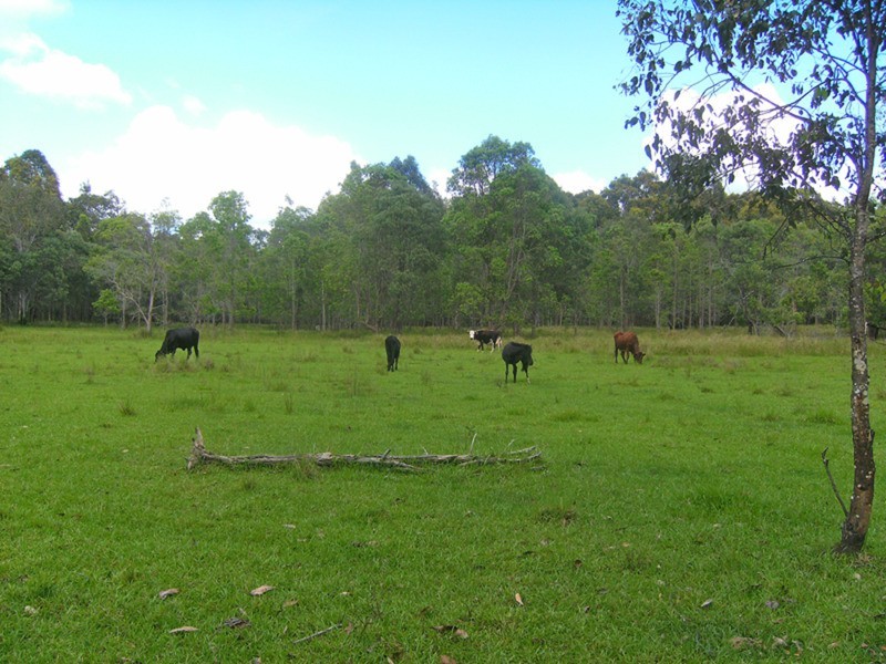 Lot 137 & 267 Wants Lane, Lawrence NSW 2460