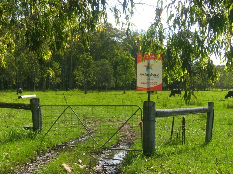 Lot 137 & 267 Wants Lane, Lawrence NSW 2460