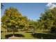 27 Sapote Street, James Creek NSW 2463