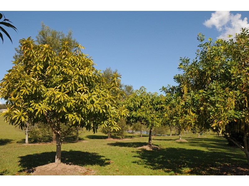 27 Sapote Street, James Creek NSW 2463