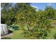 72 Havelock Street, Lawrence NSW 2460