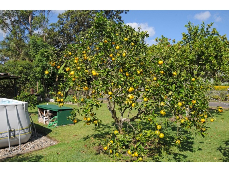 72 Havelock Street, Lawrence NSW 2460