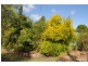 72 Havelock Street, Lawrence NSW 2460