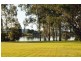 3669 Pacific Highway, Maclean NSW 2463