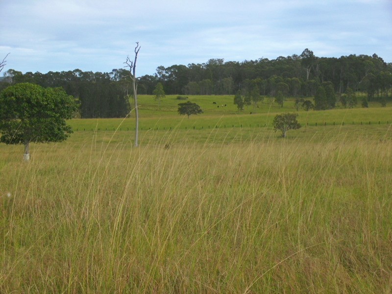 Lot 3 & 4 Mantons  Road, Lawrence NSW 2460